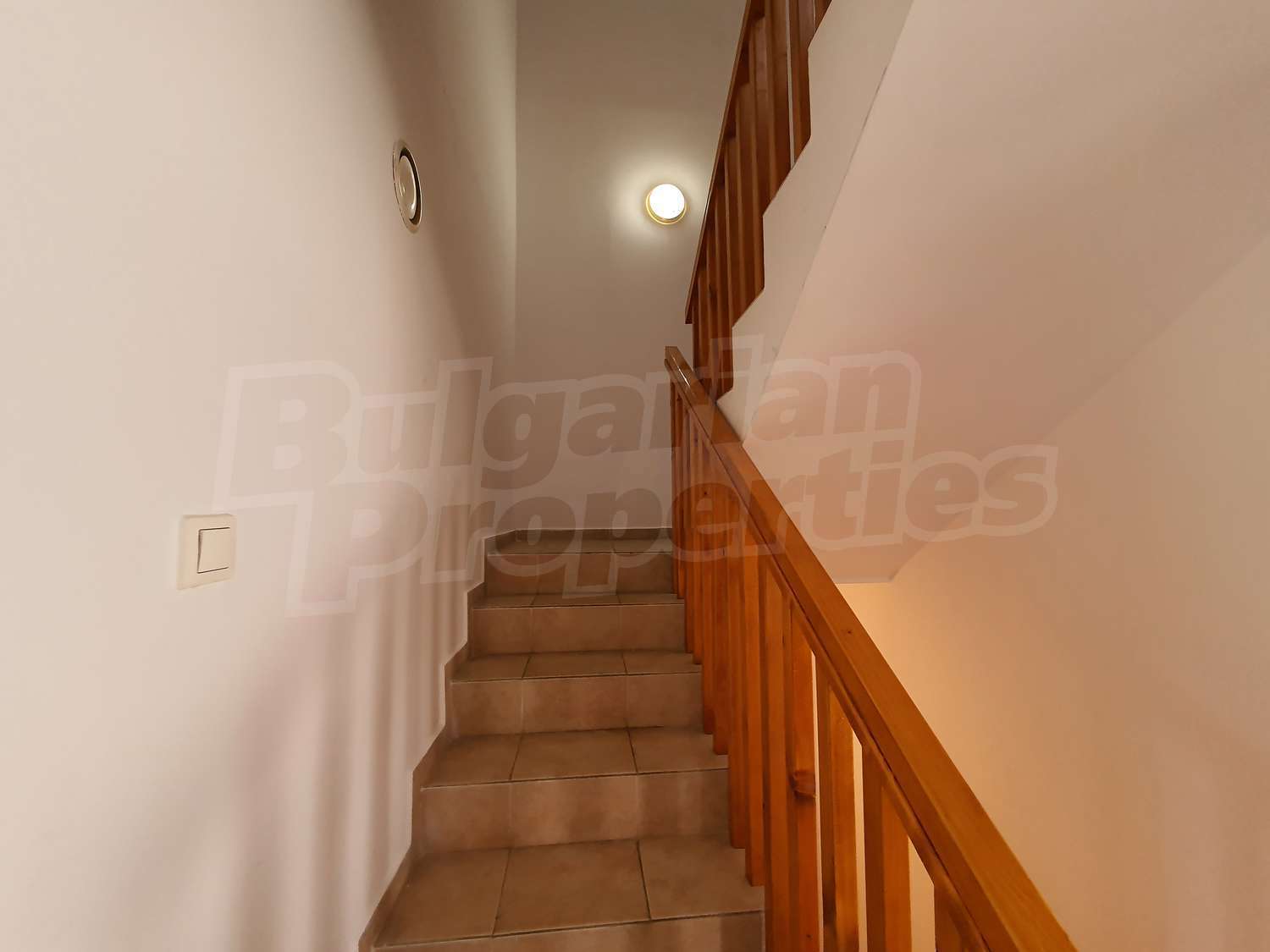 Gallery Picture 14
