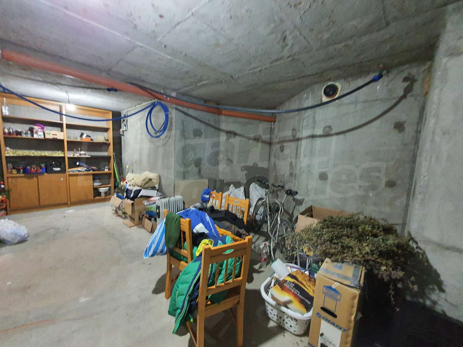 Gallery Picture 37