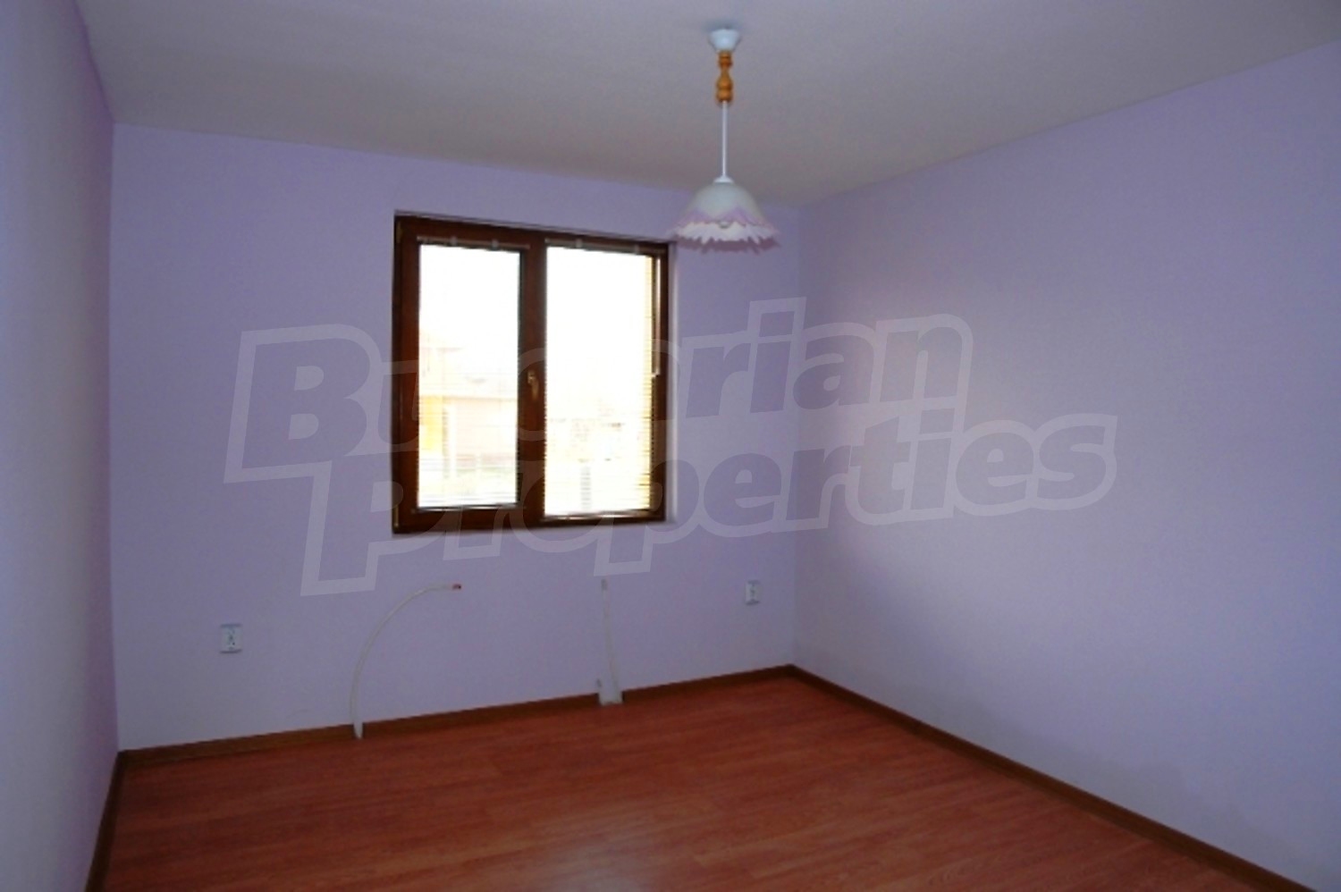 Gallery Picture 10