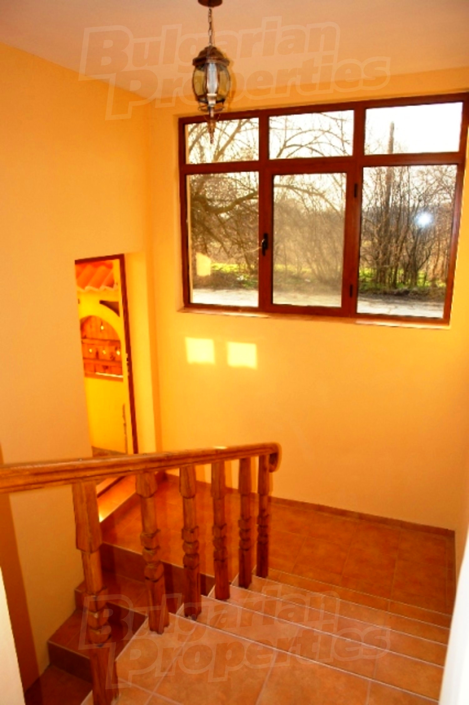 Gallery Picture 11