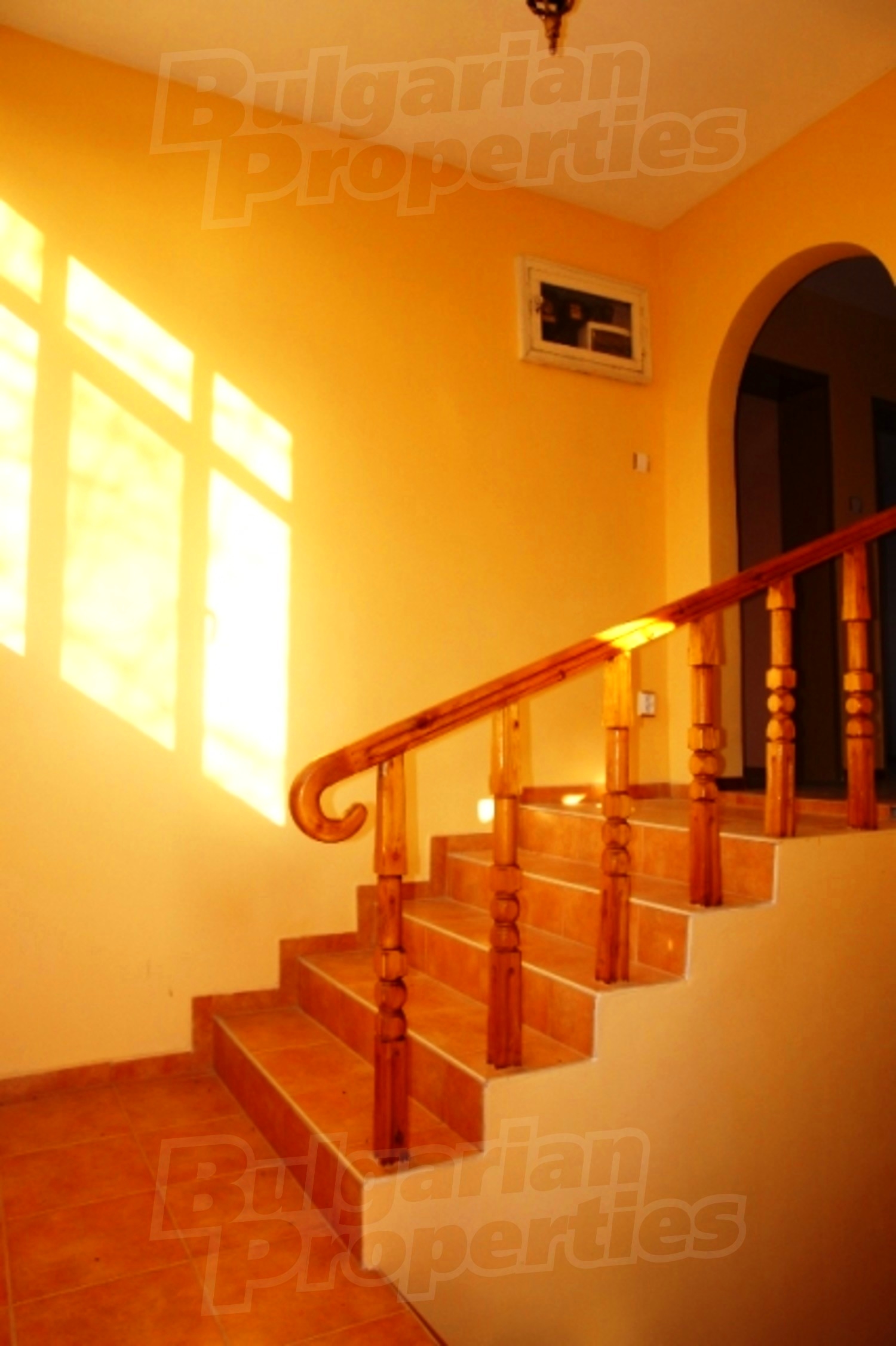 Gallery Picture 13