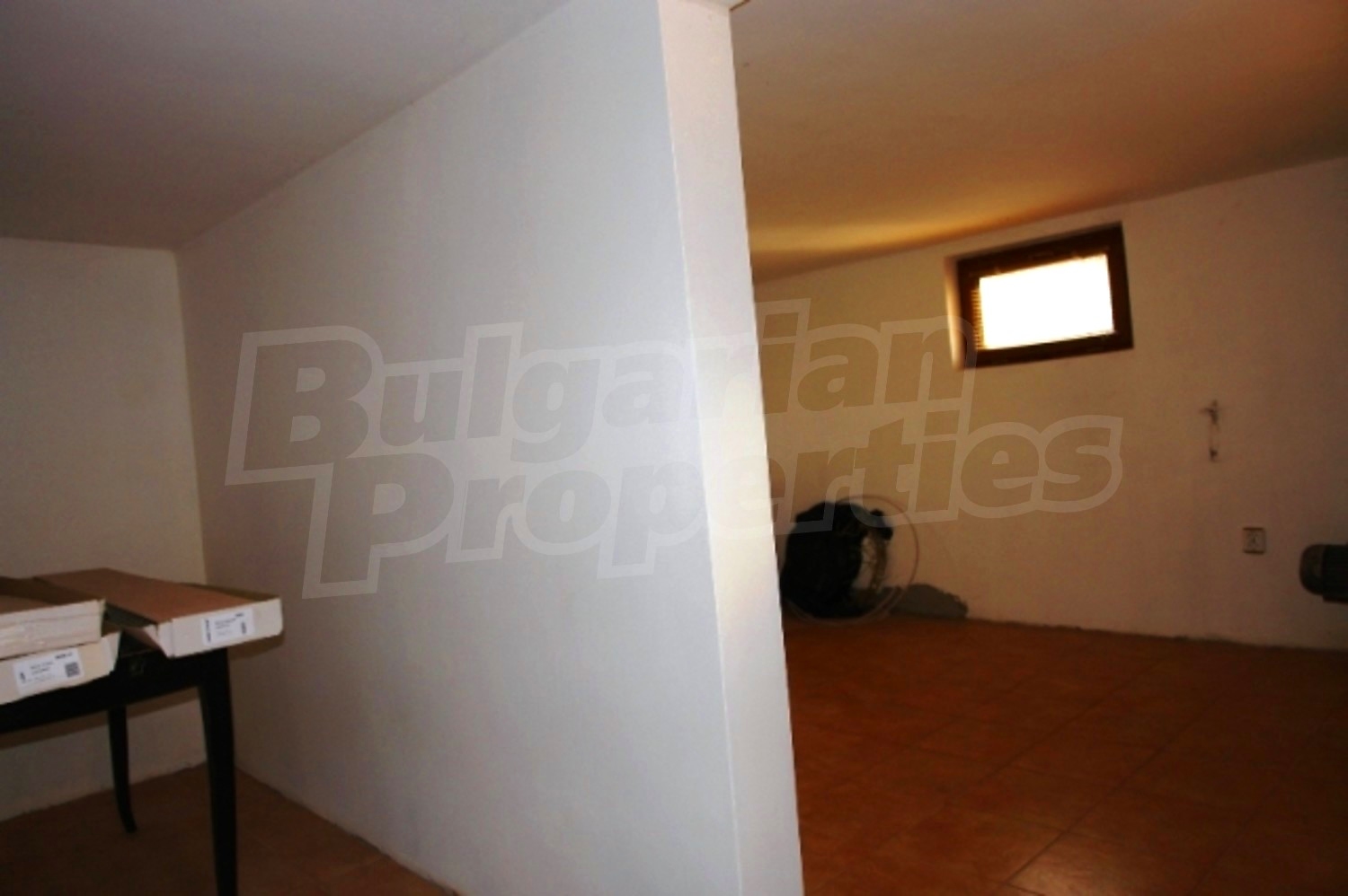 Gallery Picture 14
