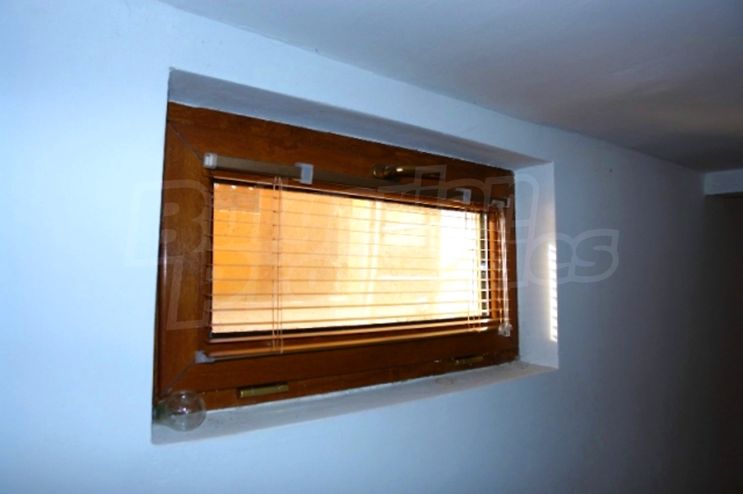 Gallery Picture 17