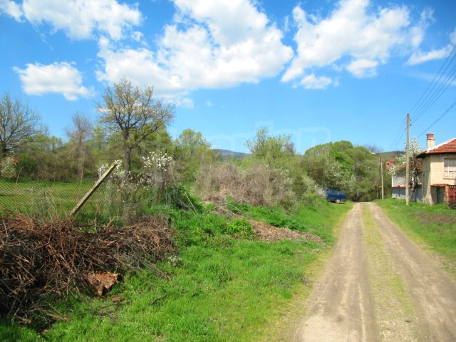 Gallery Picture 6
