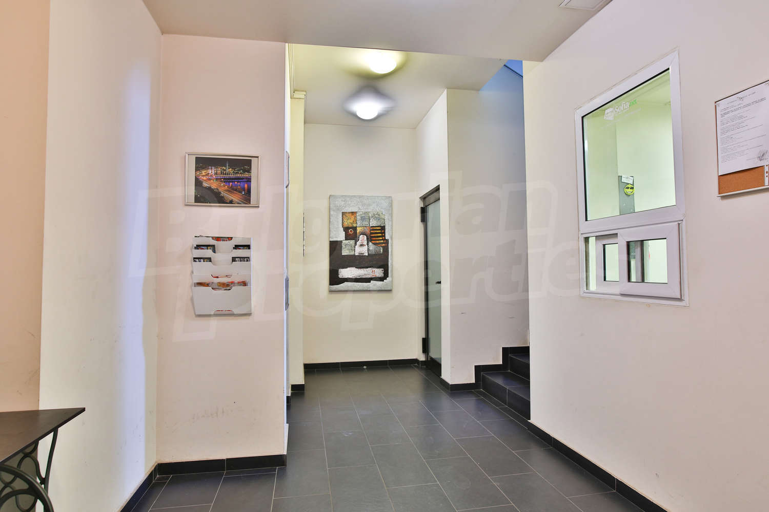 Gallery Picture 19