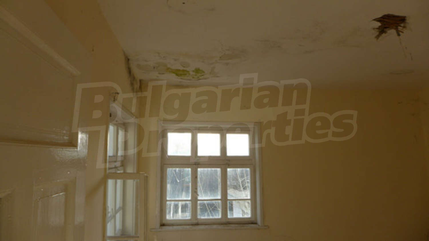 Gallery Picture 12