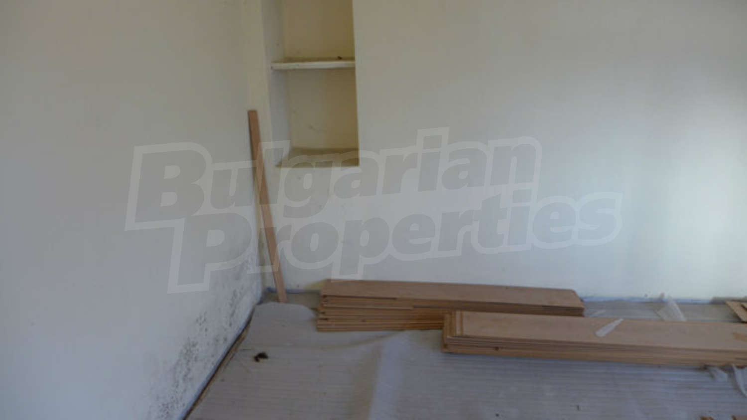 Gallery Picture 14