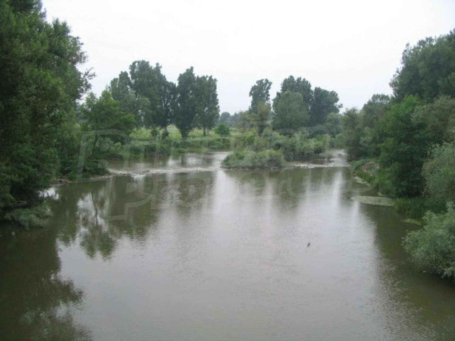 Gallery Picture 26