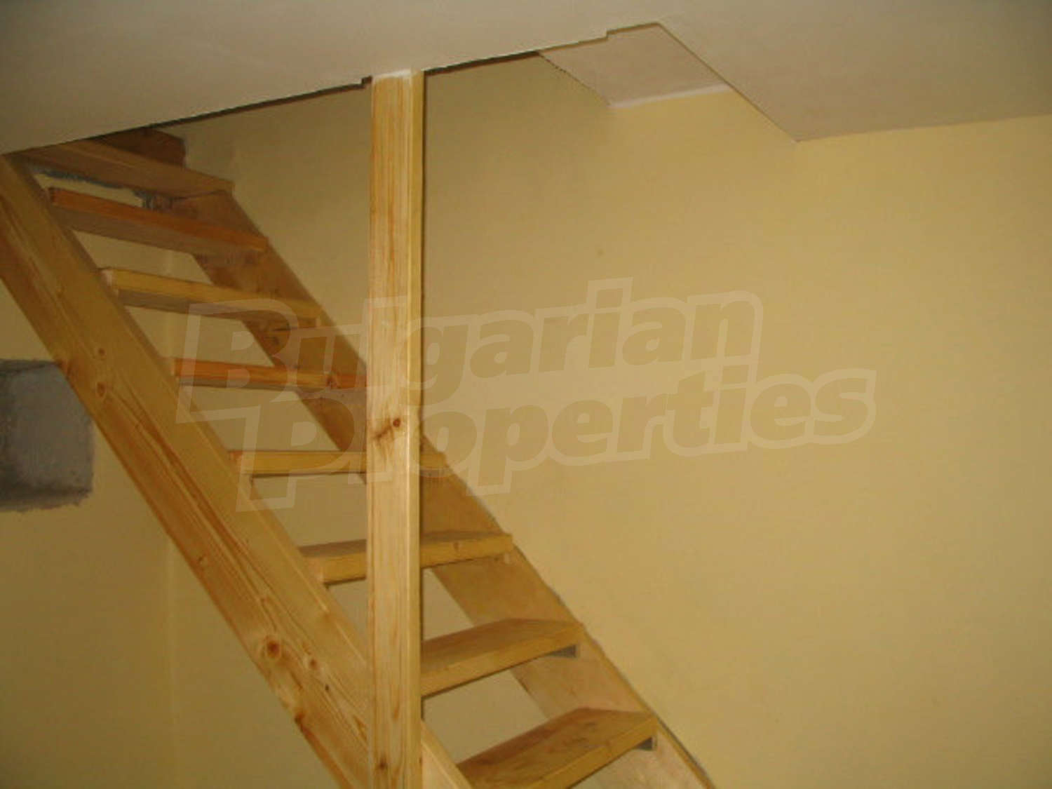 Gallery Picture 9