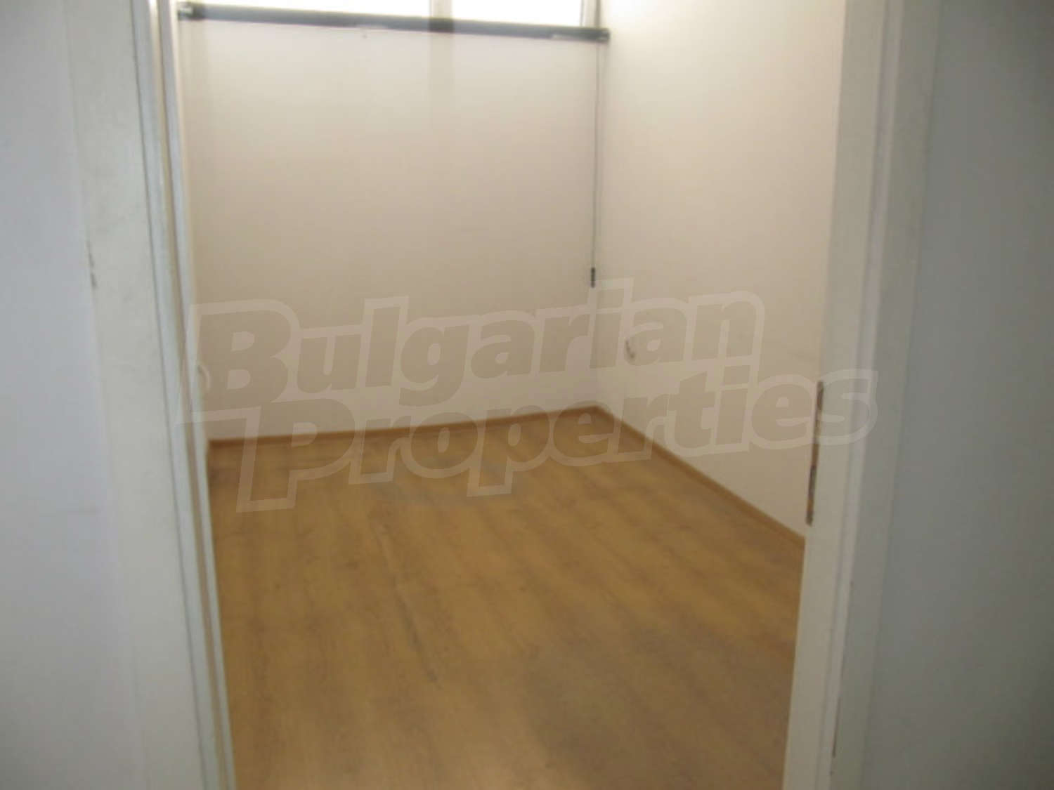 Gallery Picture 11