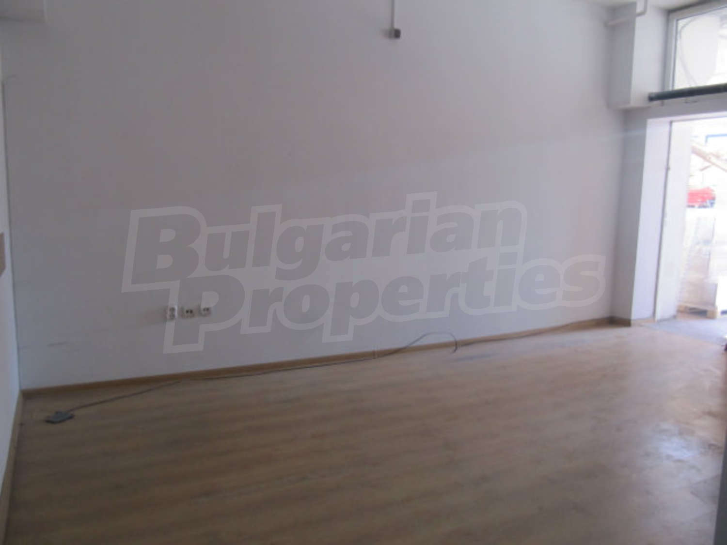 Gallery Picture 12