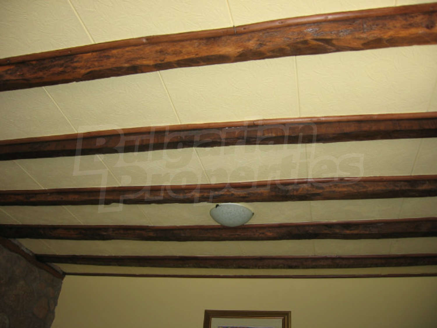 Gallery Picture 15