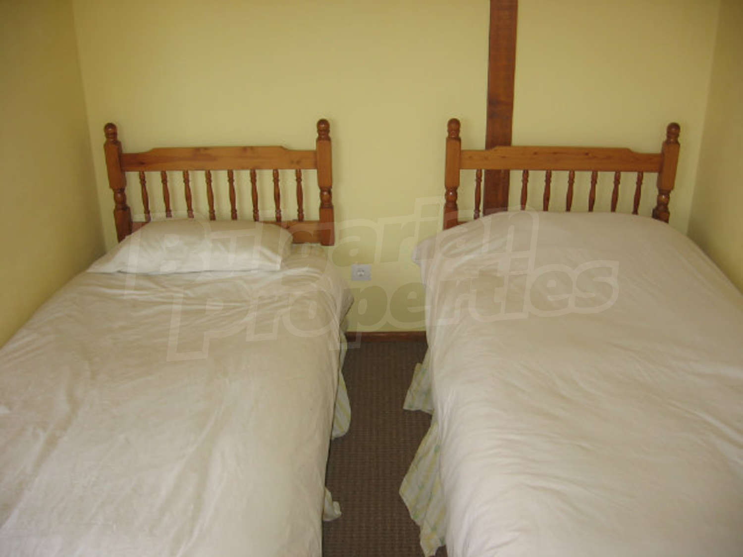 Gallery Picture 29