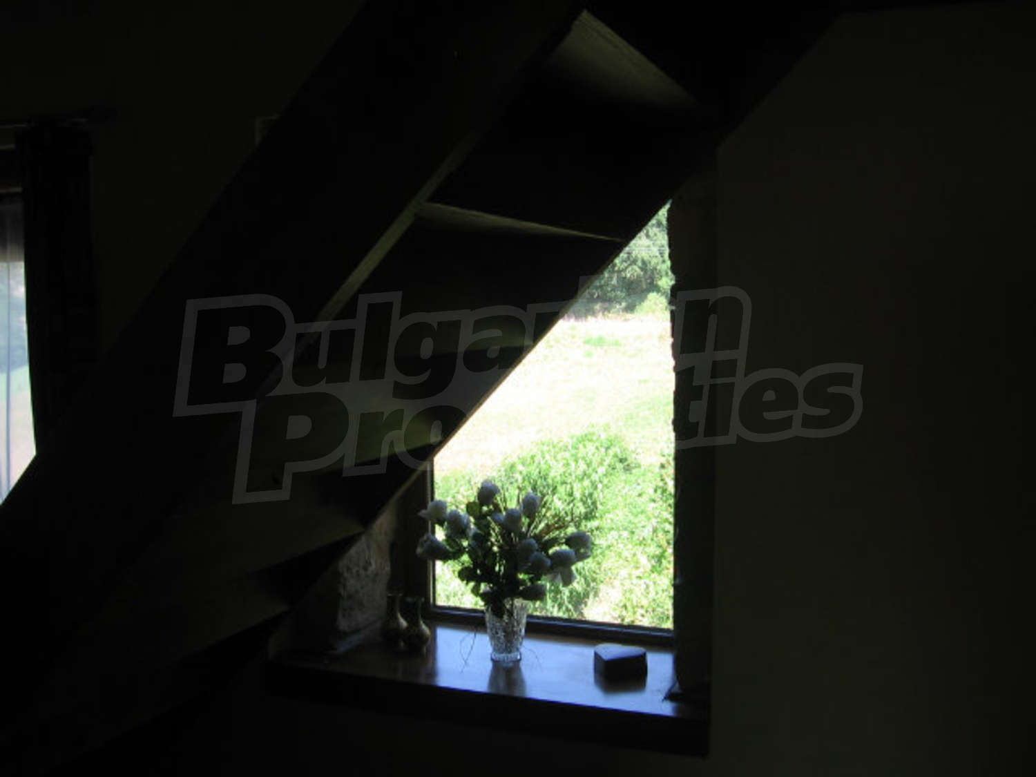 Gallery Picture 32