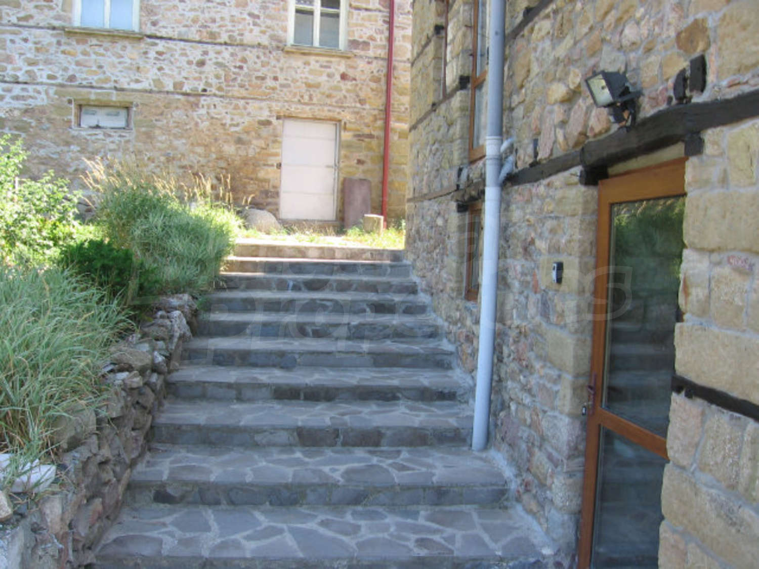 Gallery Picture 6