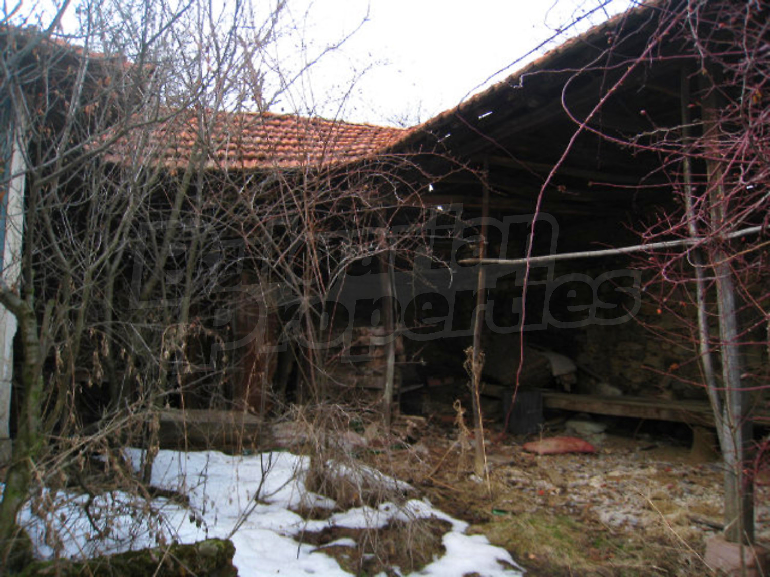 Gallery Picture 10