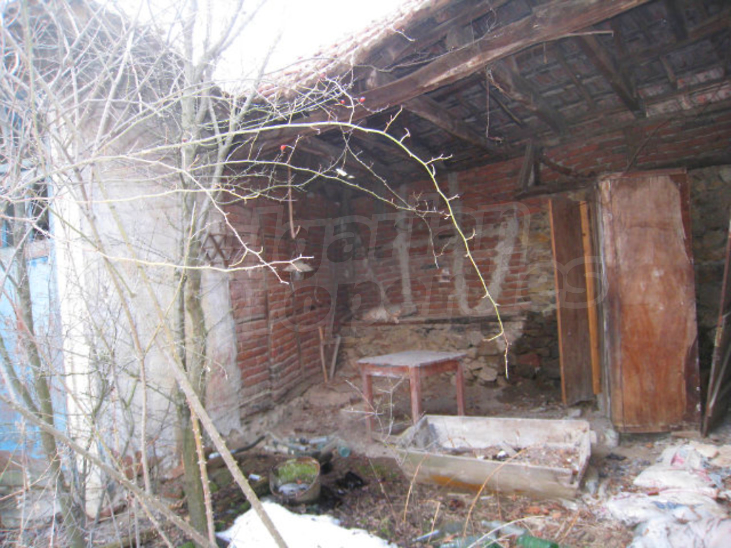 Gallery Picture 11