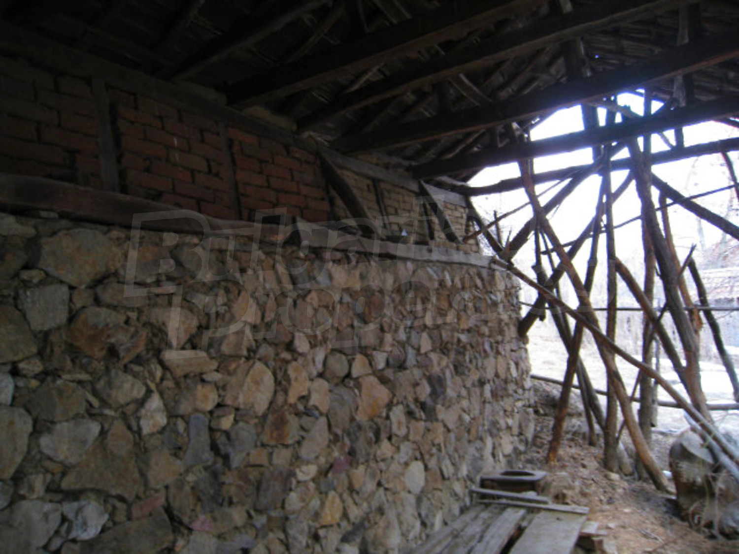 Gallery Picture 12