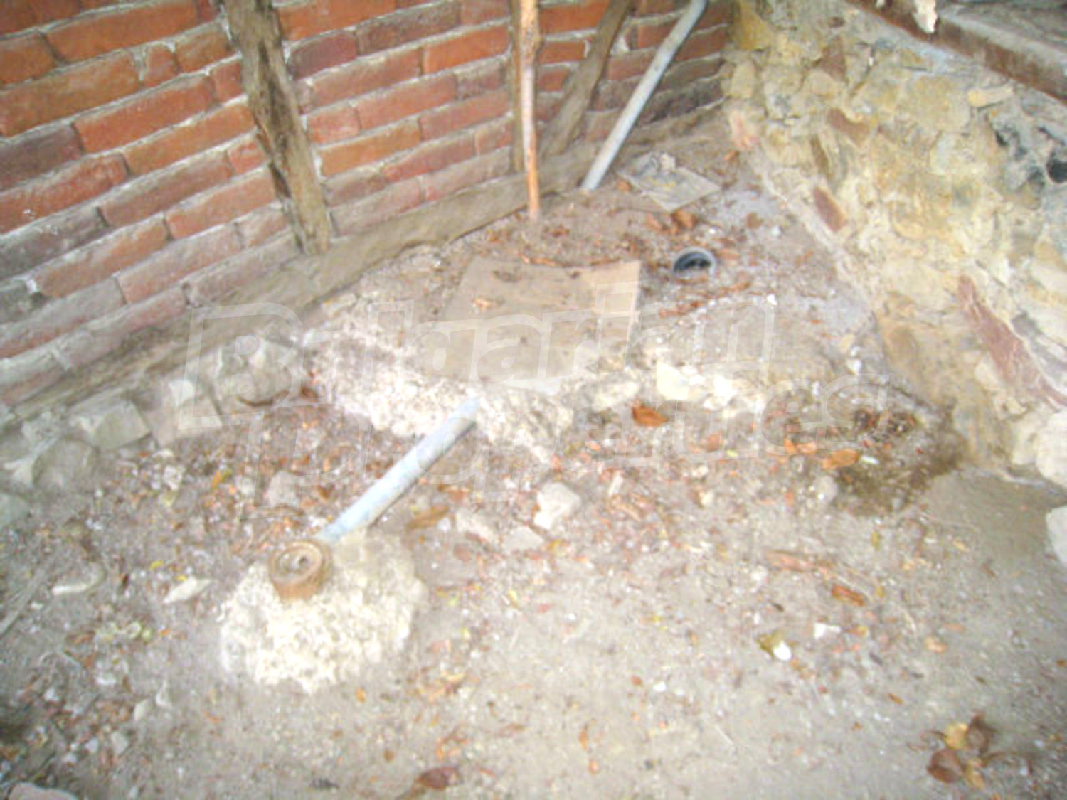 Gallery Picture 15