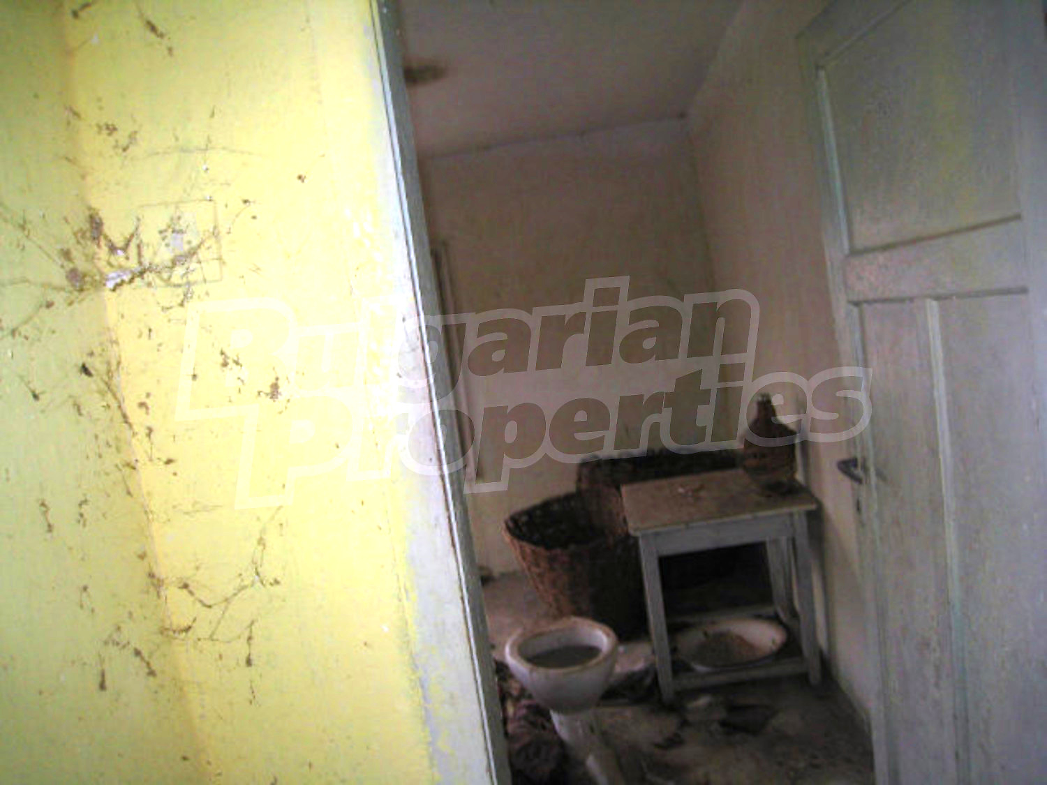 Gallery Picture 17