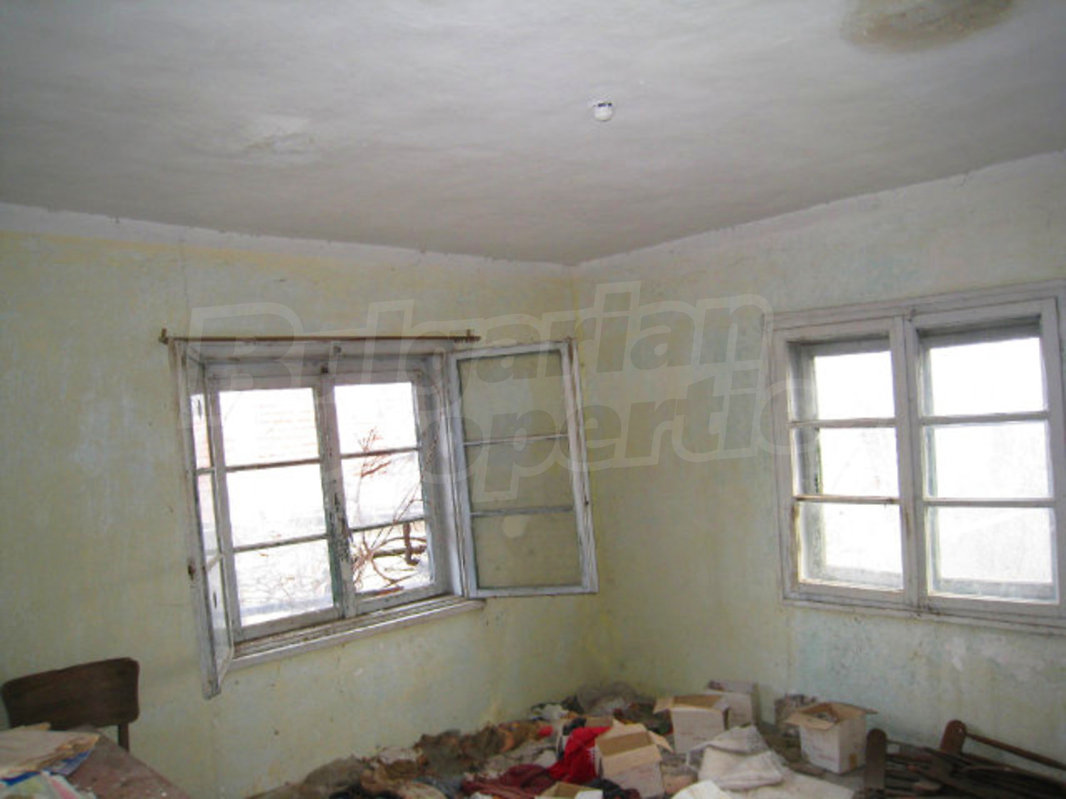 Gallery Picture 18