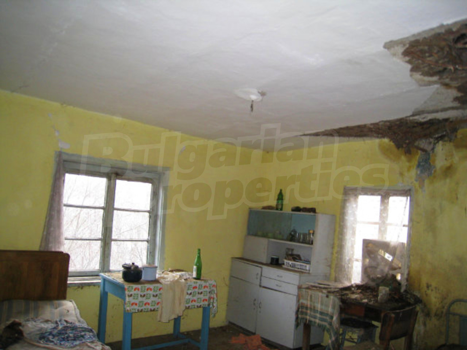 Gallery Picture 19