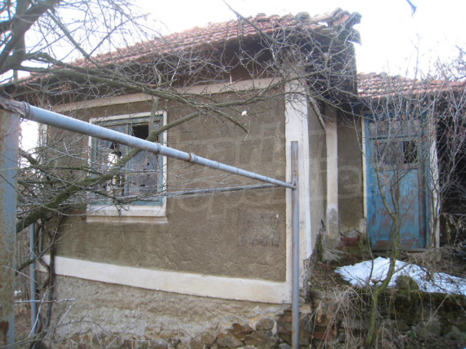 Gallery Picture 21