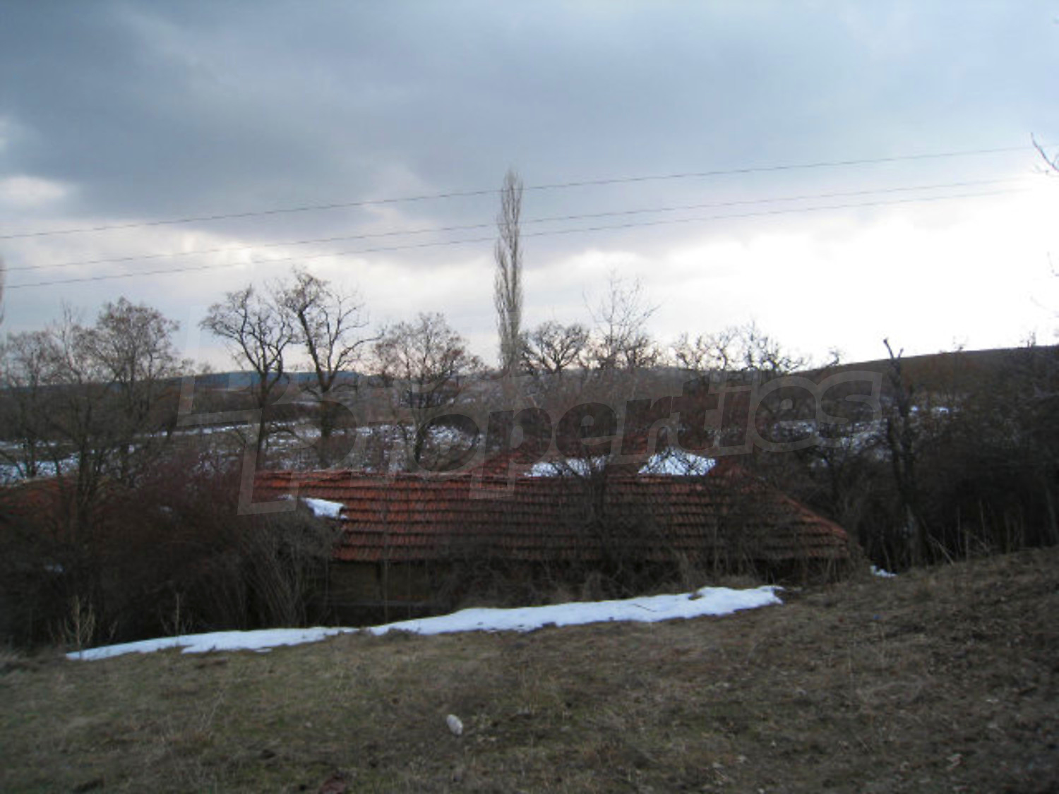 Gallery Picture 25