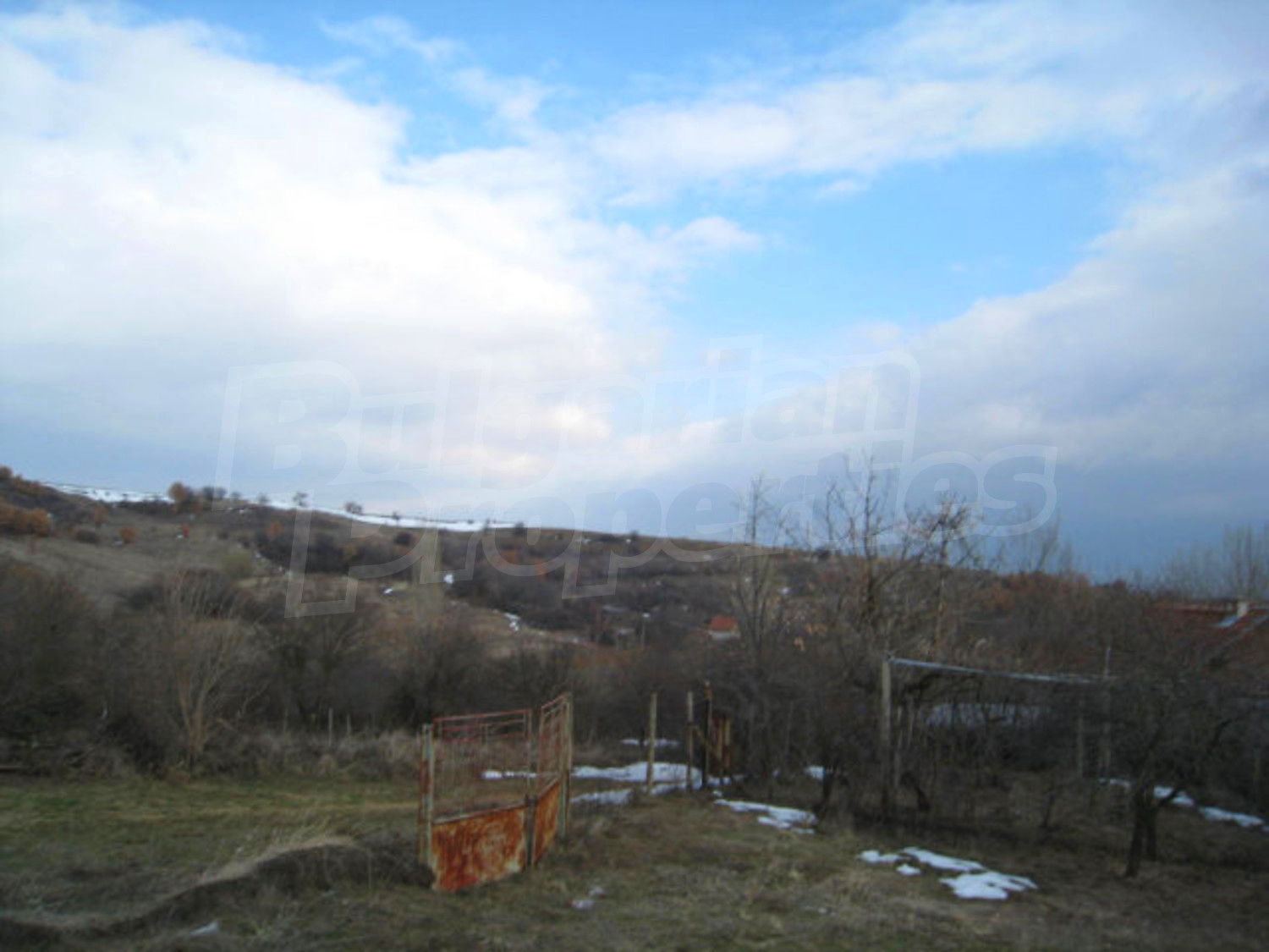 Gallery Picture 26