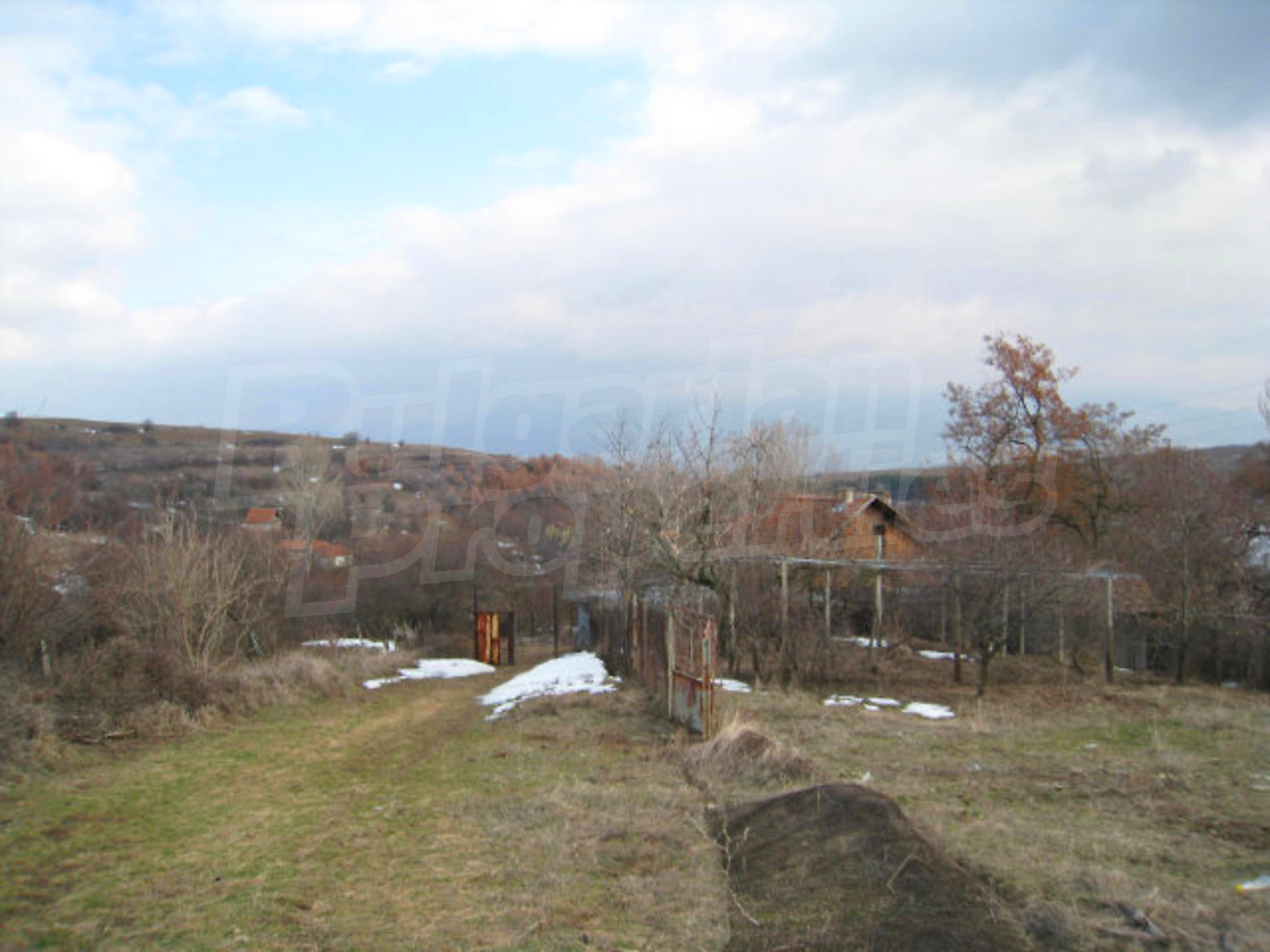 Gallery Picture 28