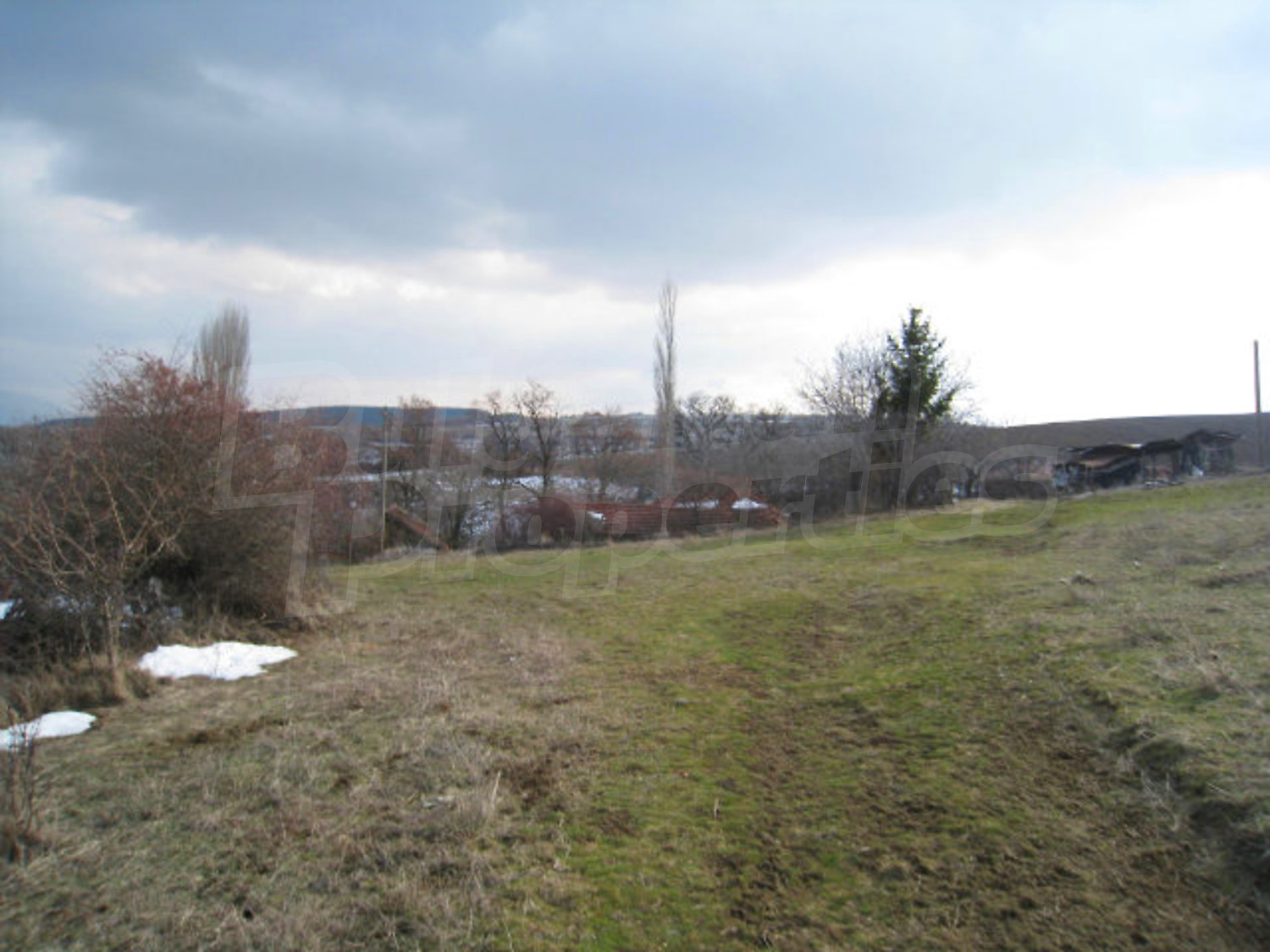Gallery Picture 30