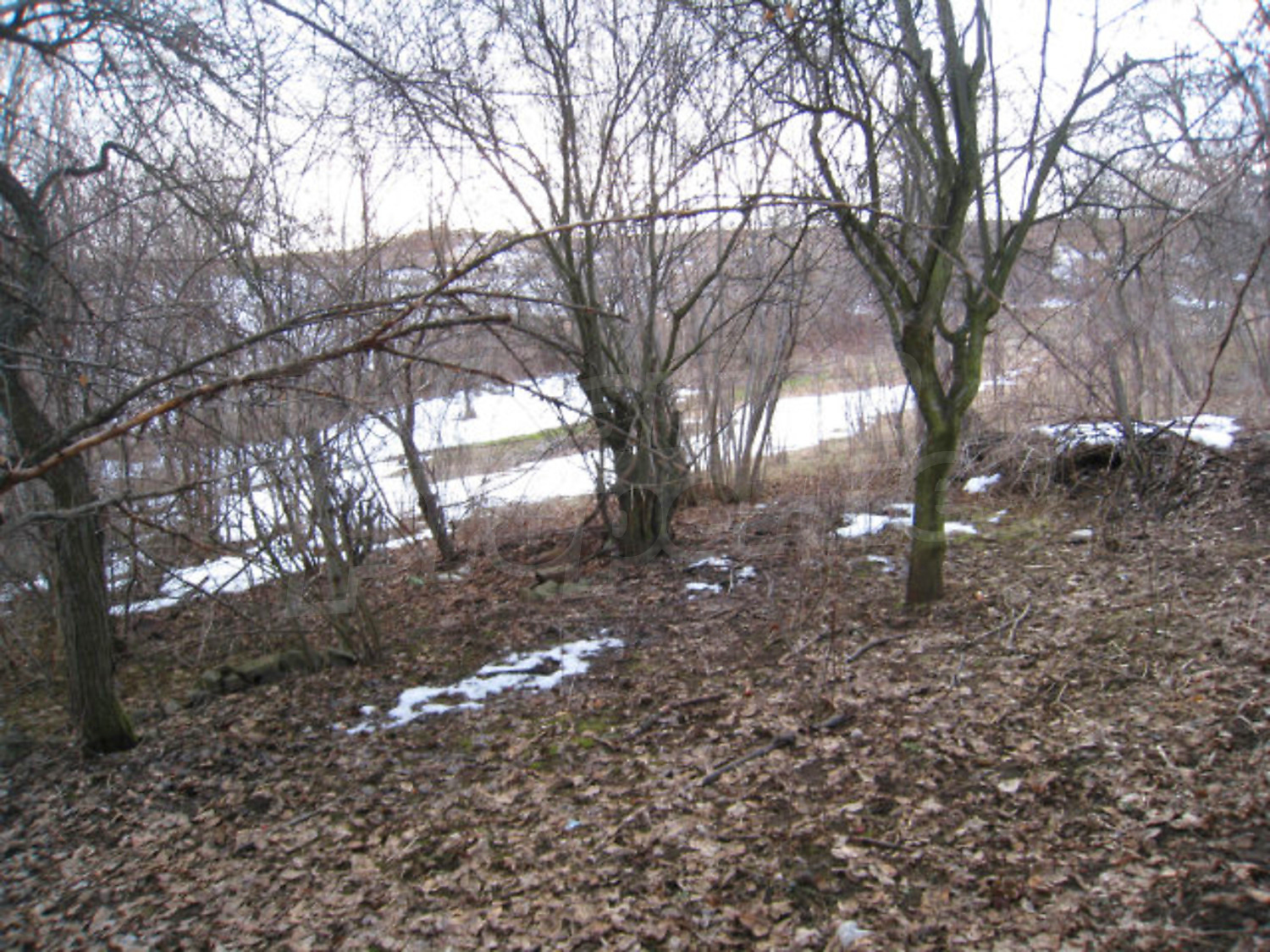 Gallery Picture 6
