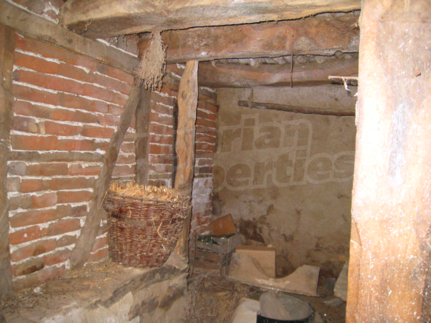 Gallery Picture 8