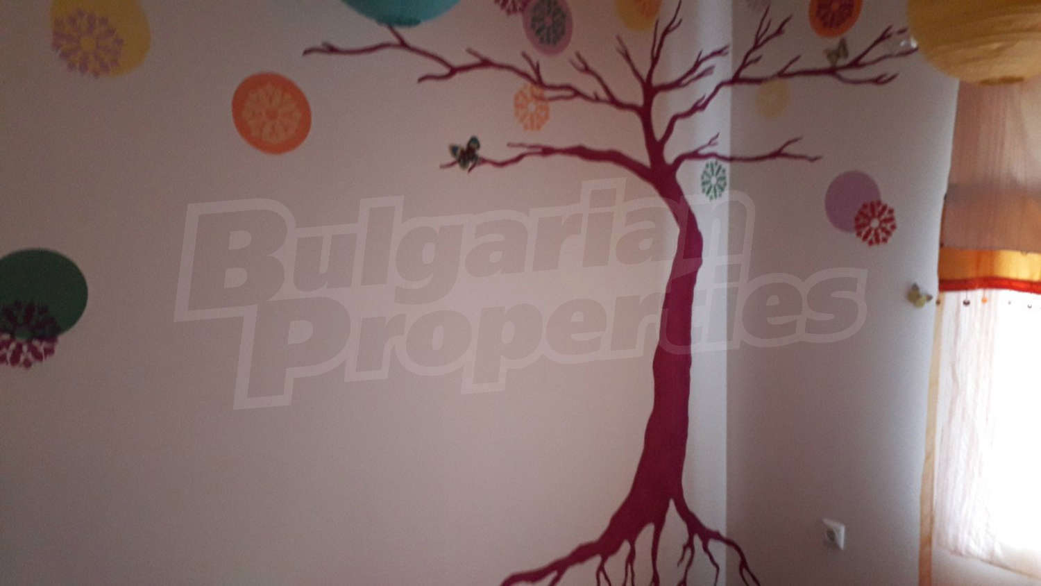 Gallery Picture 25