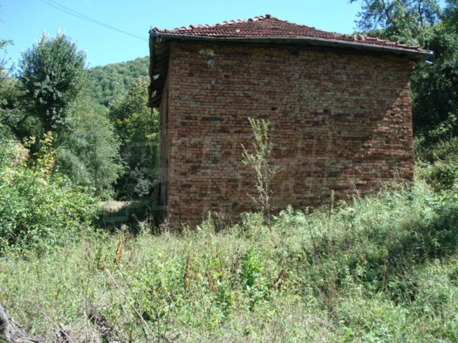 Gallery Picture 10