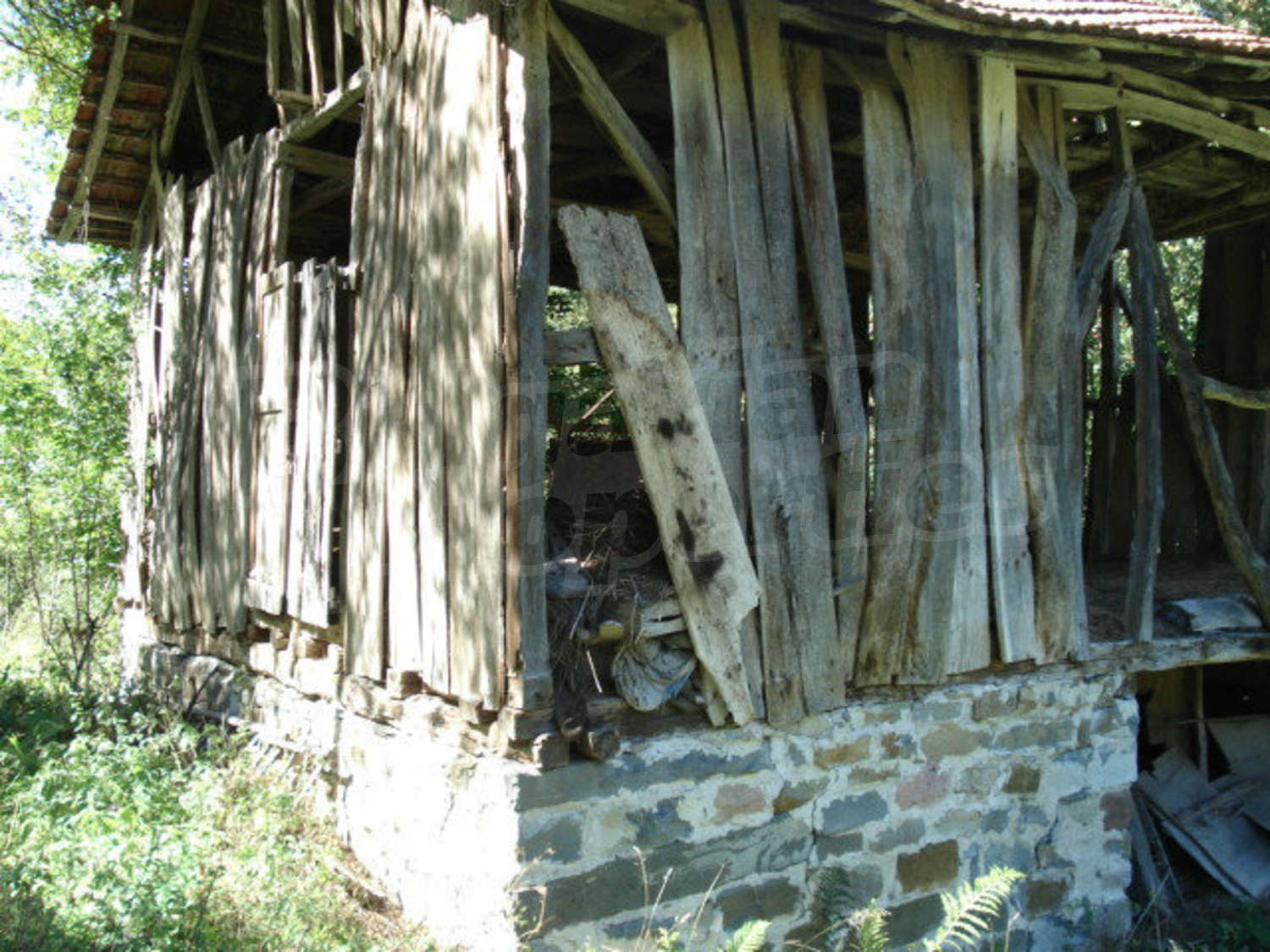 Gallery Picture 11