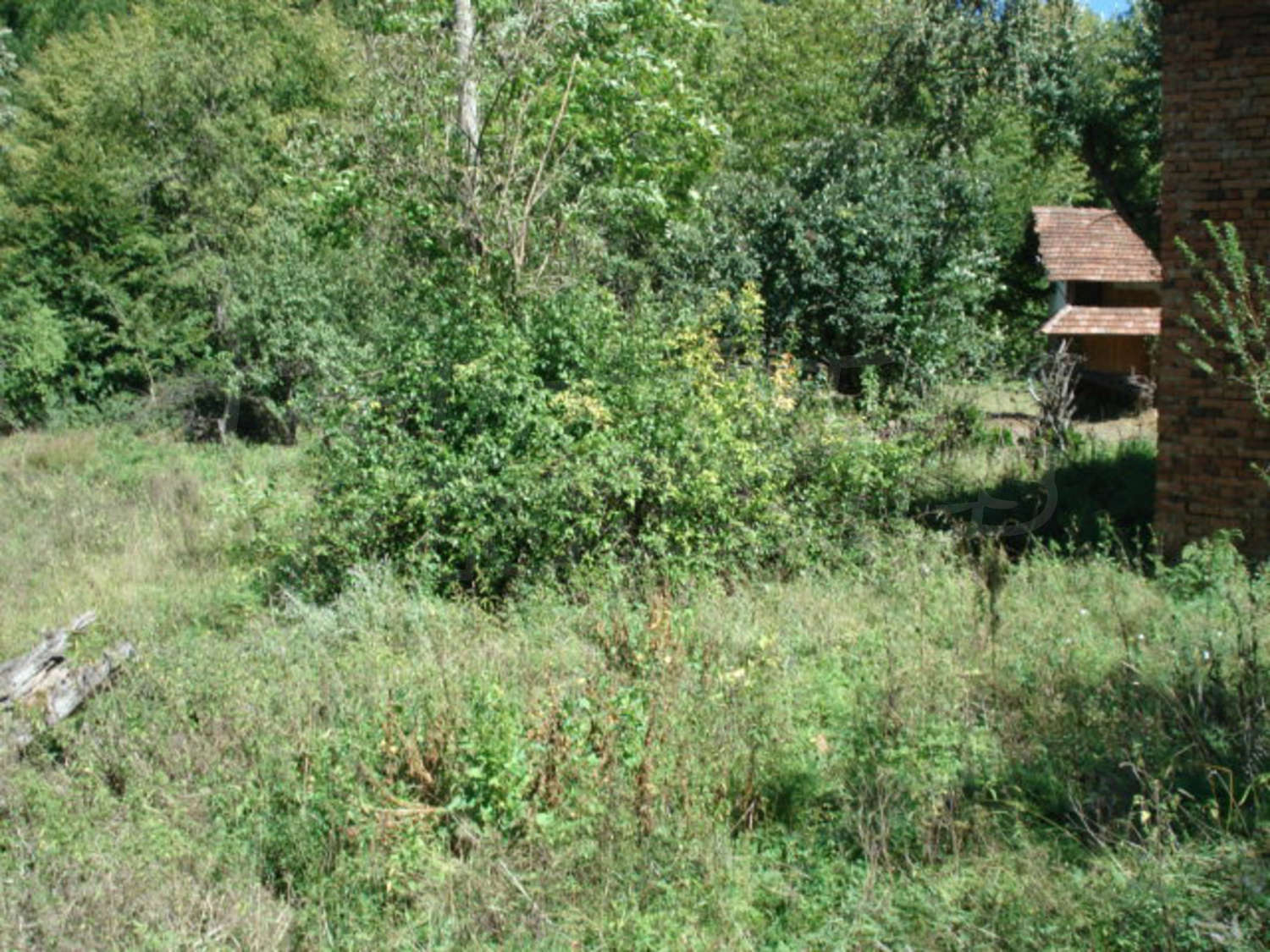 Gallery Picture 12