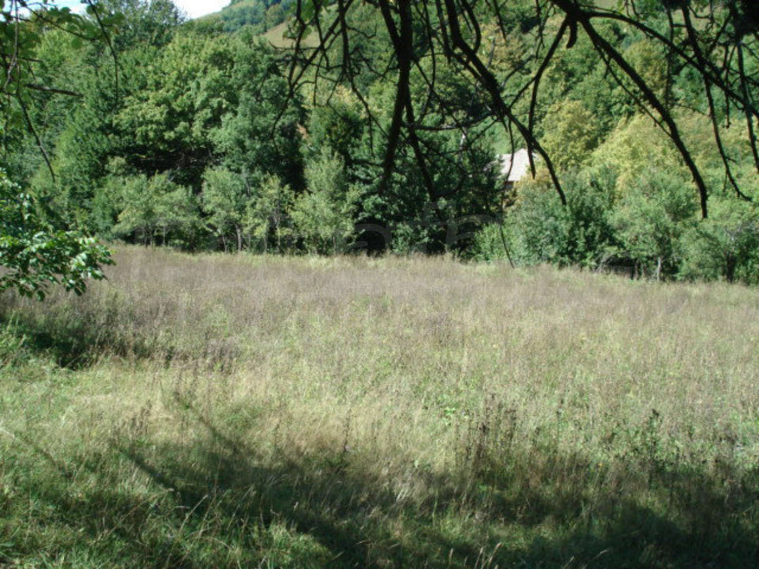 Gallery Picture 15