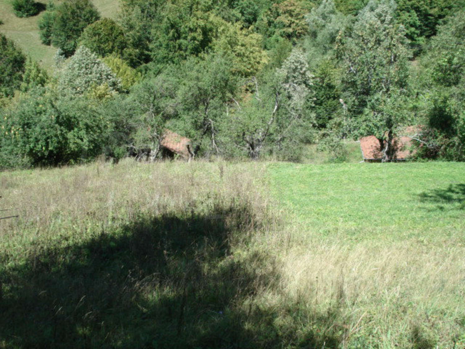 Gallery Picture 16