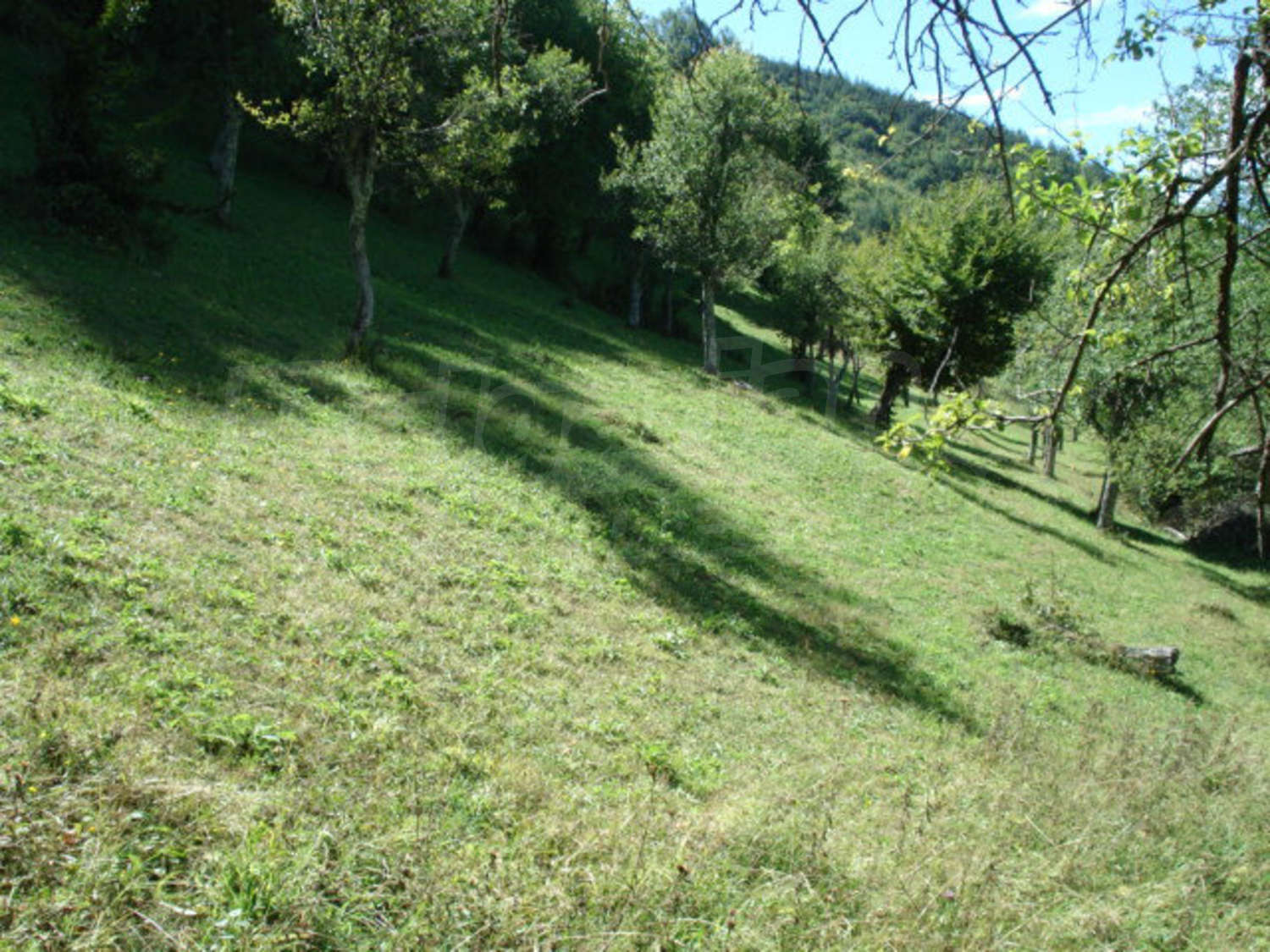 Gallery Picture 19