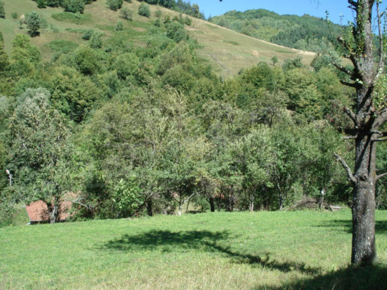 Gallery Picture 20