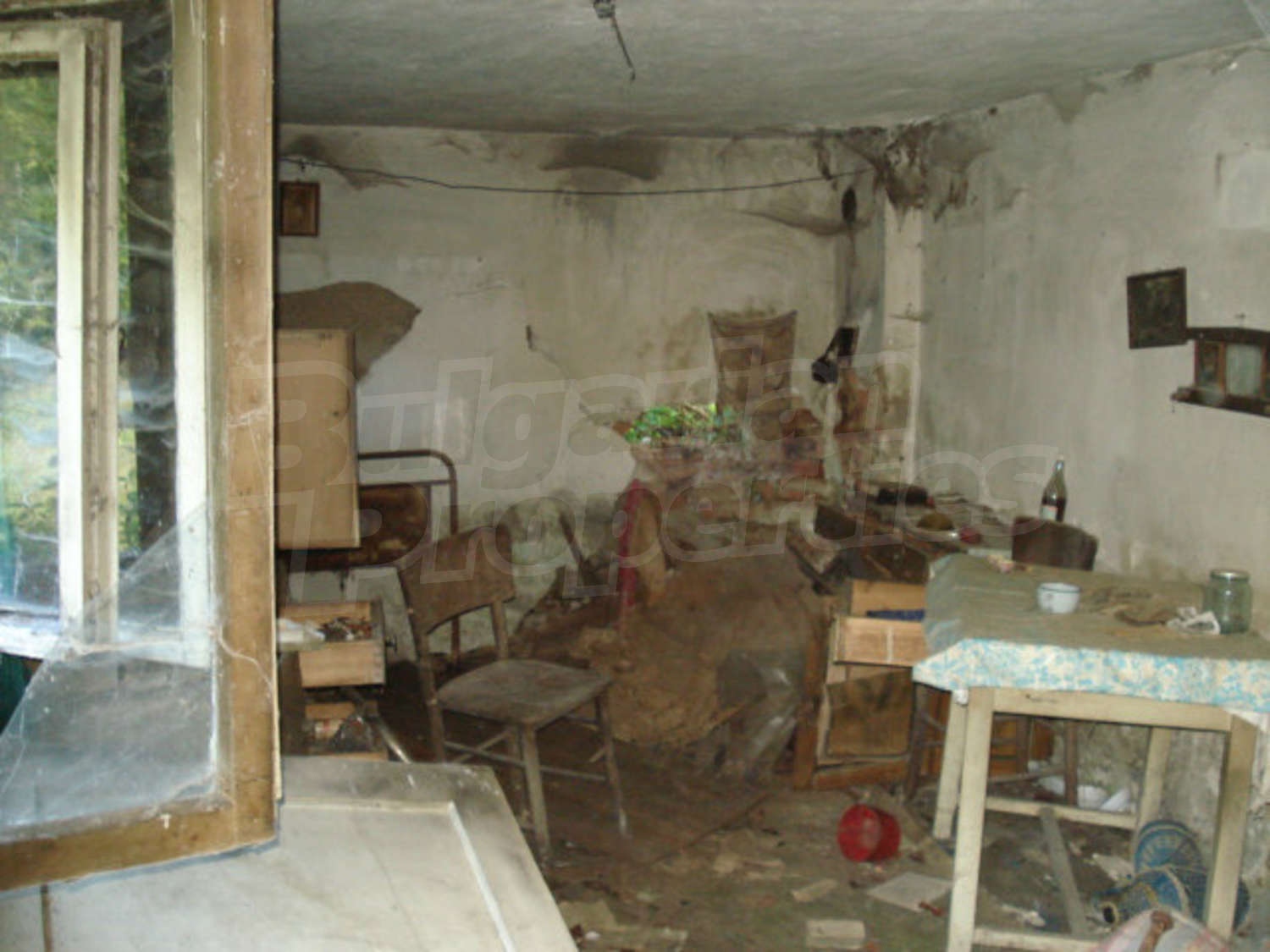 Gallery Picture 22