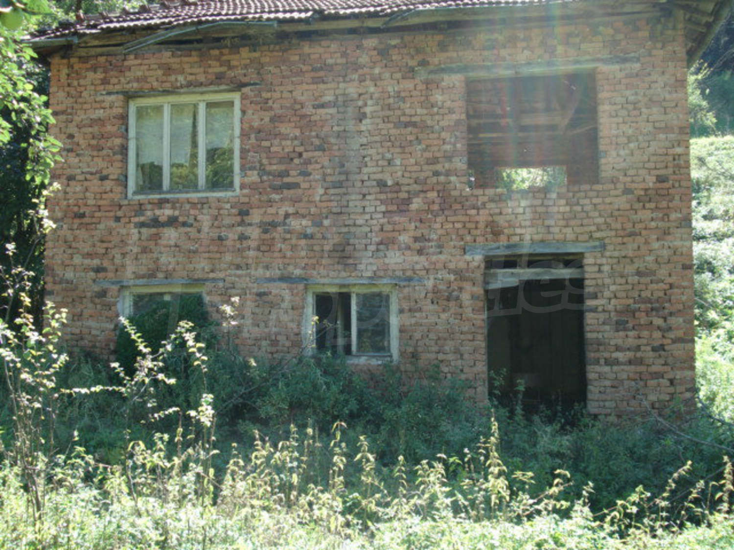 Gallery Picture 6