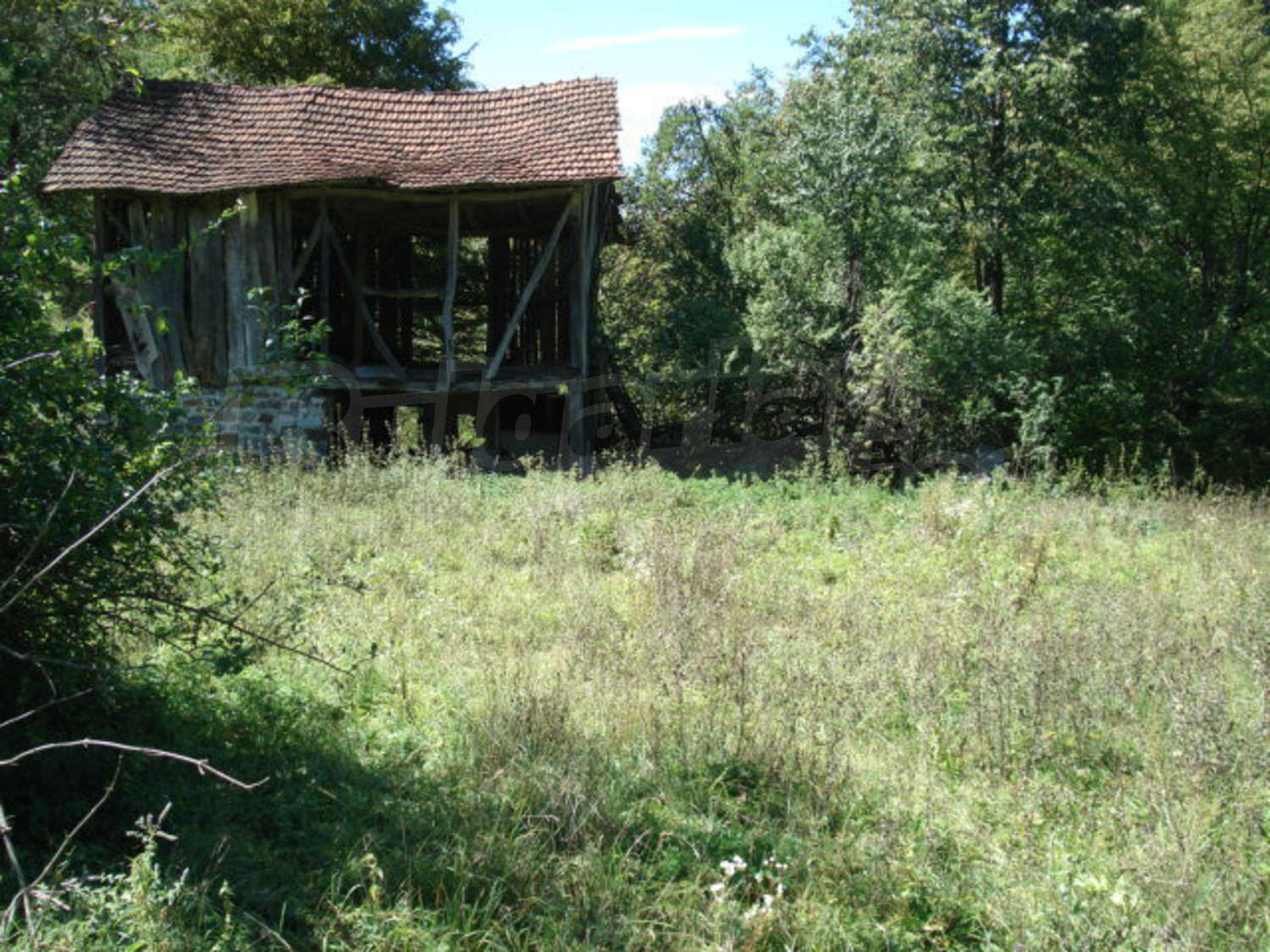 Gallery Picture 7