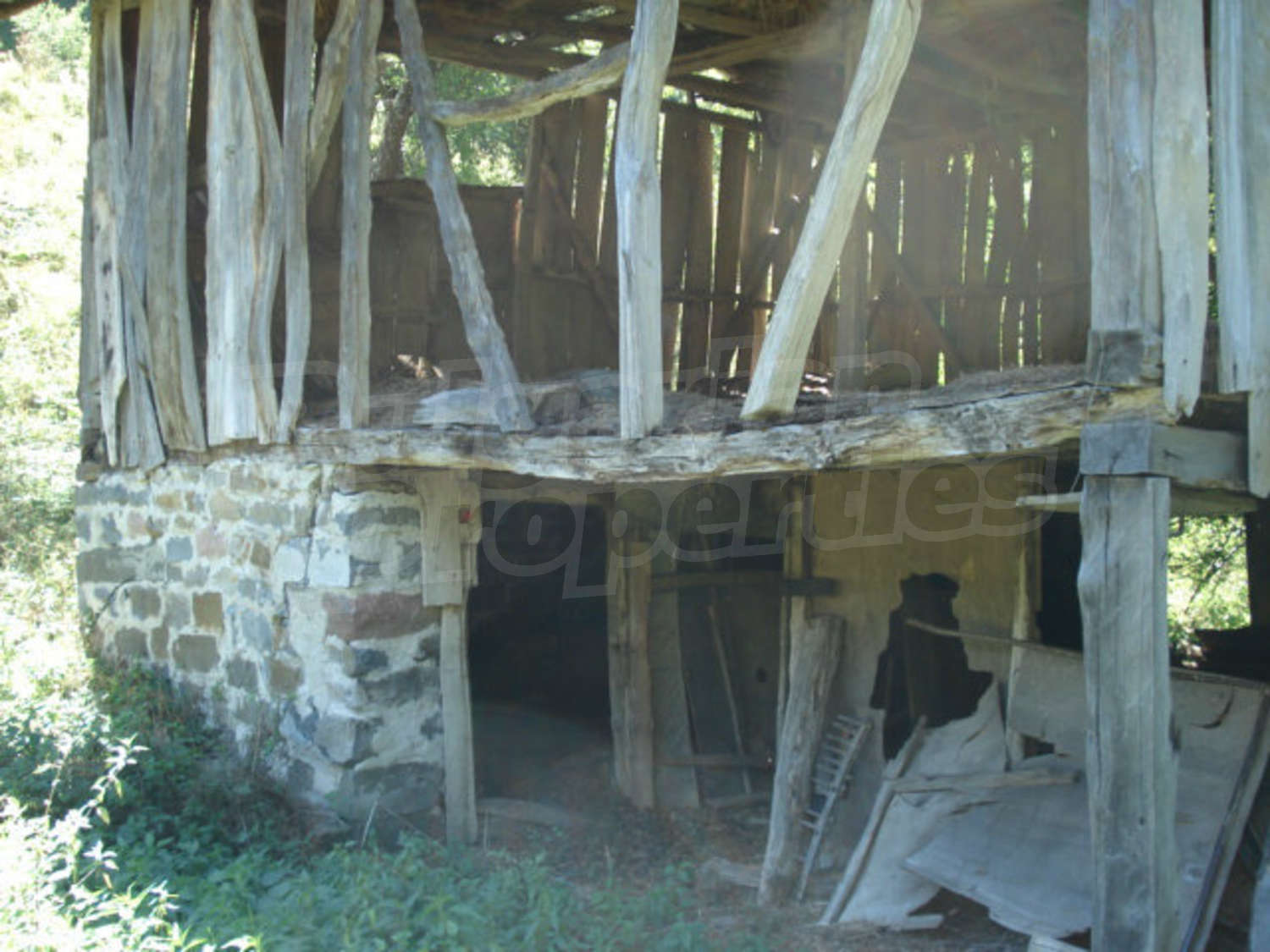 Gallery Picture 8