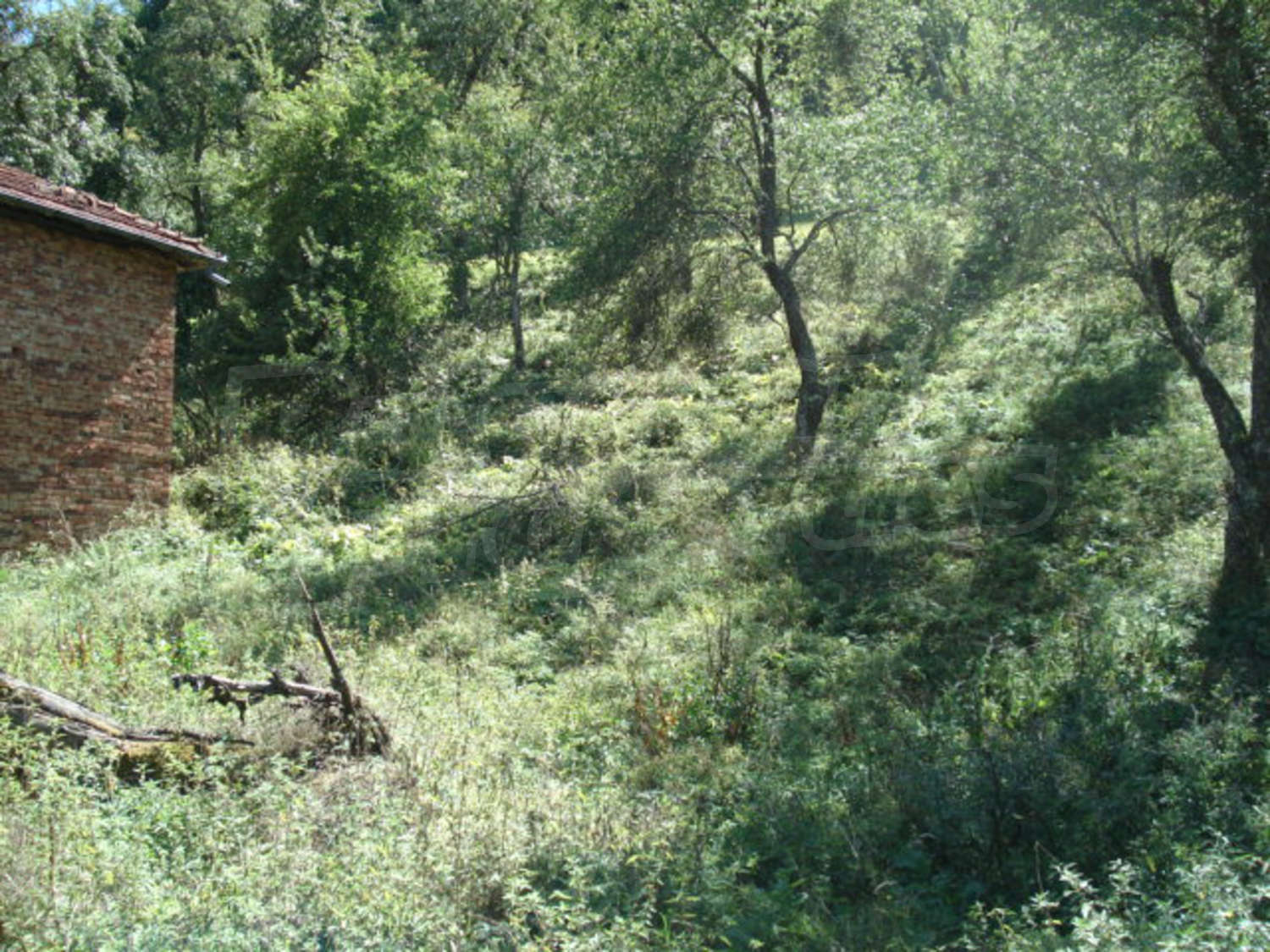 Gallery Picture 9