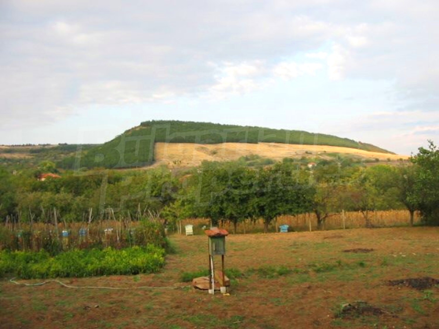 Gallery Picture 7