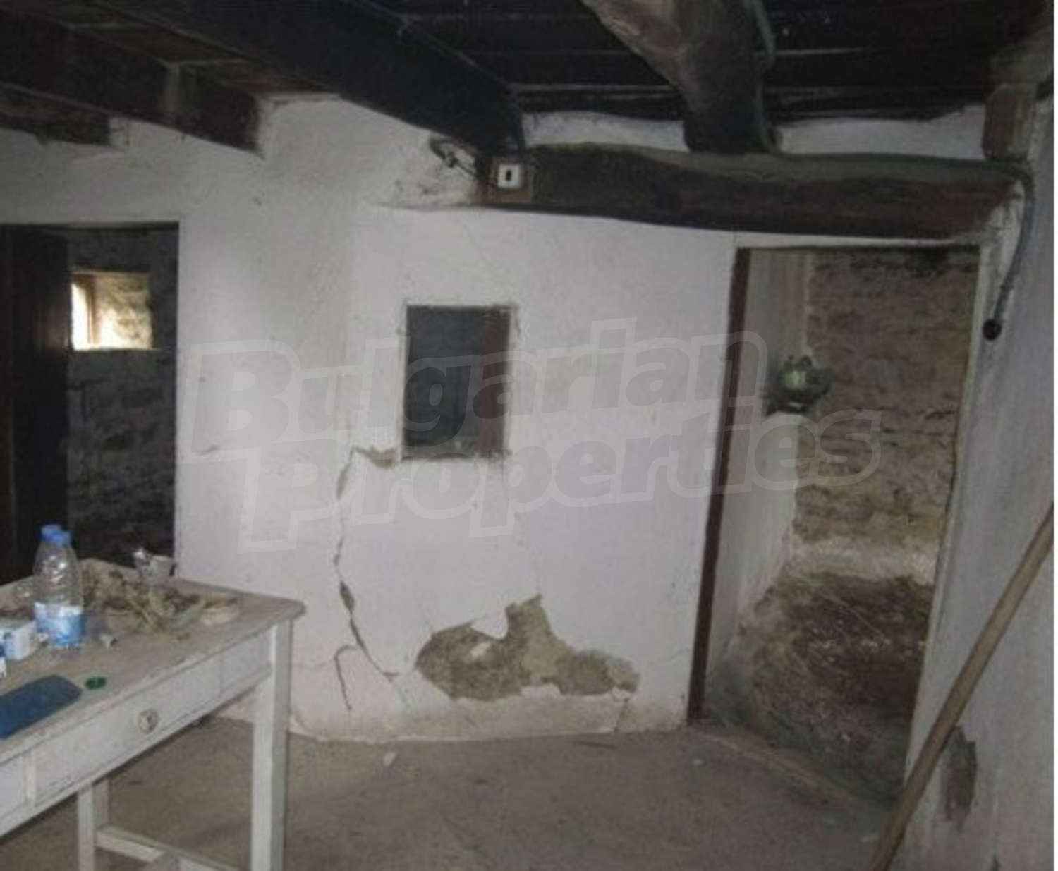 Gallery Picture 11
