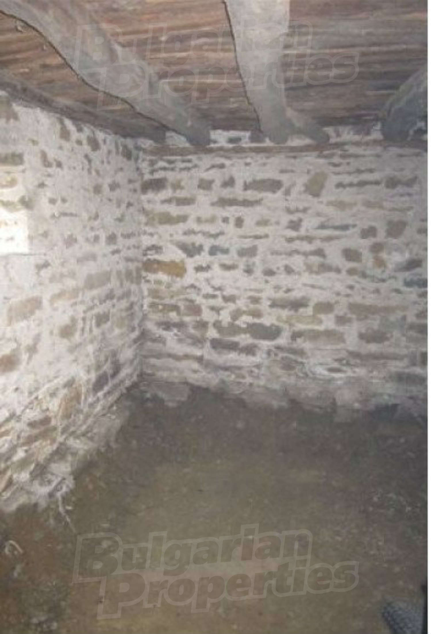 Gallery Picture 12