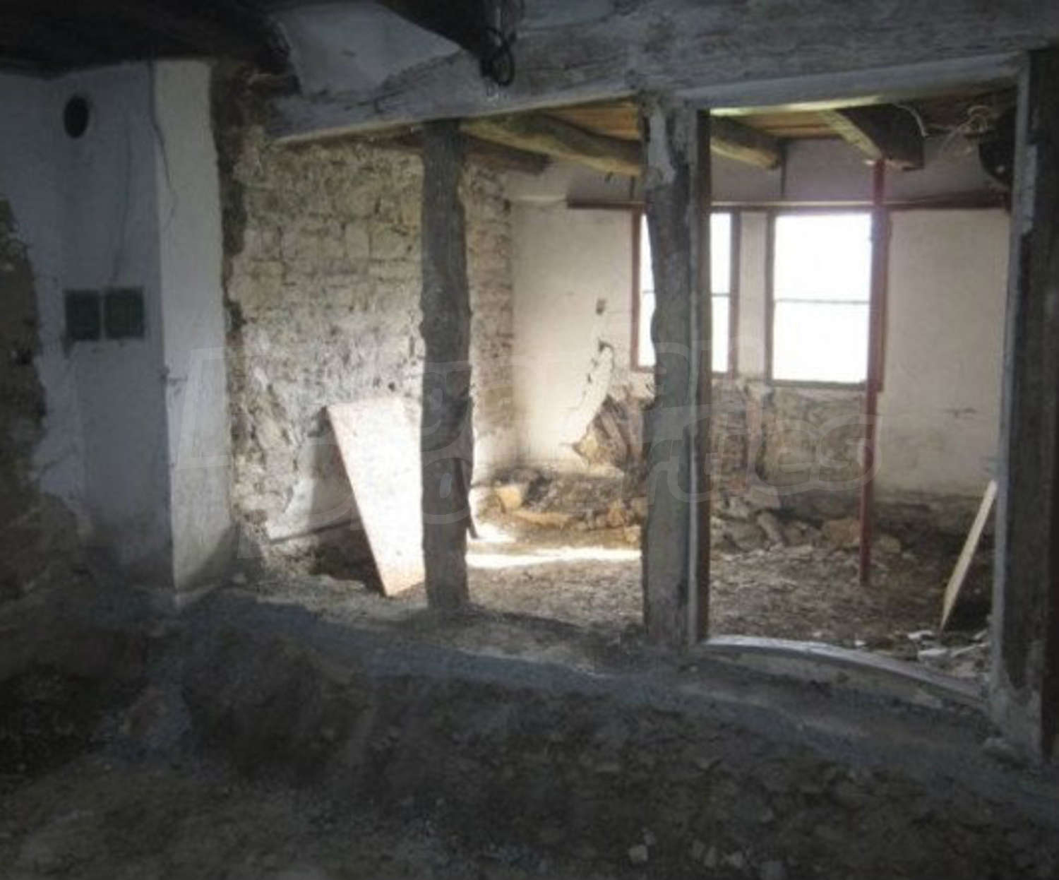 Gallery Picture 8
